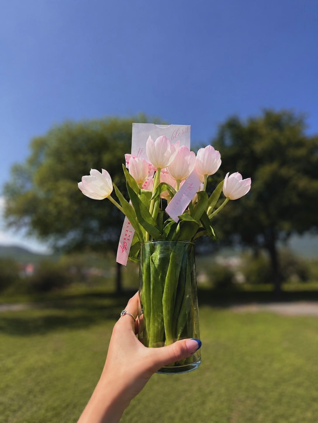 Tulipanes